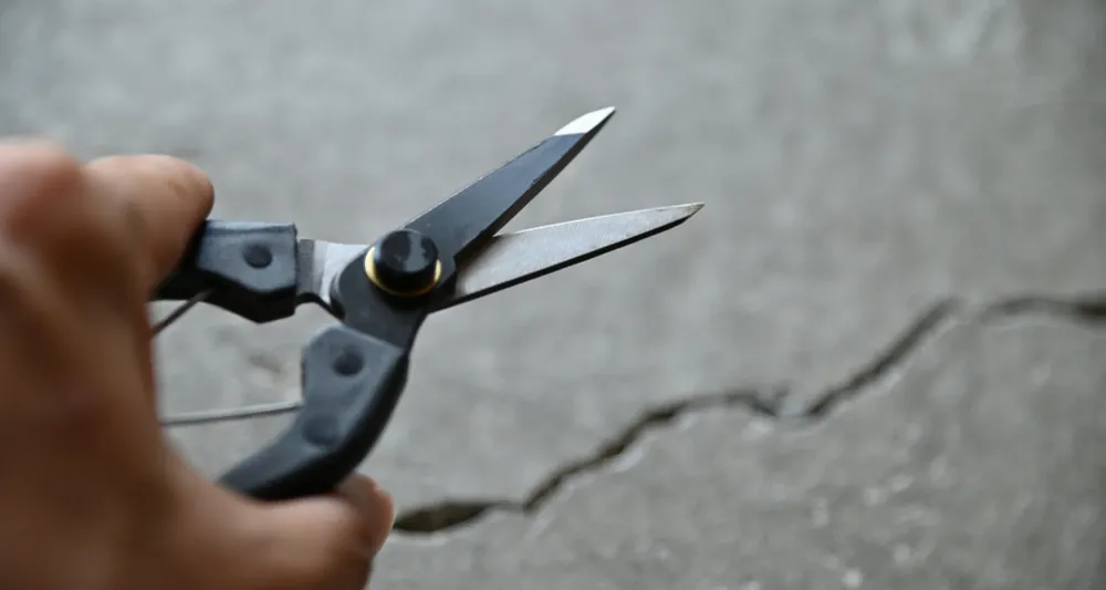 KUROCO Bud Shears Los Bevel 200mm (7.9")