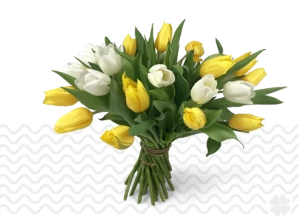 boeket geel/wit tulpen BySpek