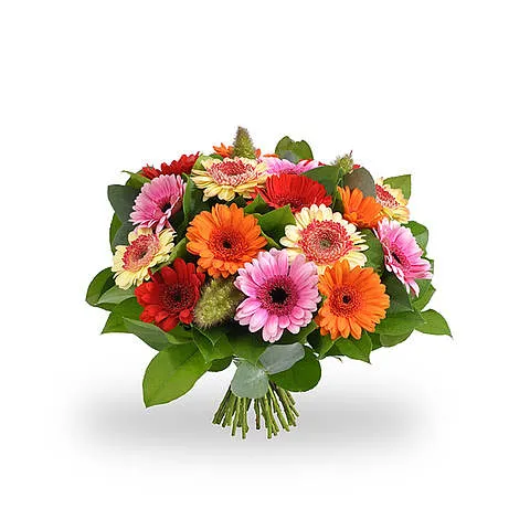 Boeket Gerbera Mix BySpek