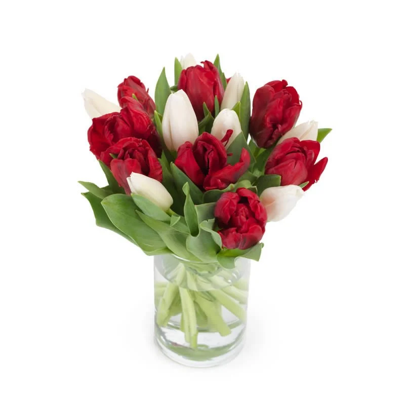 boeket rood/wit tulpen BySpek
