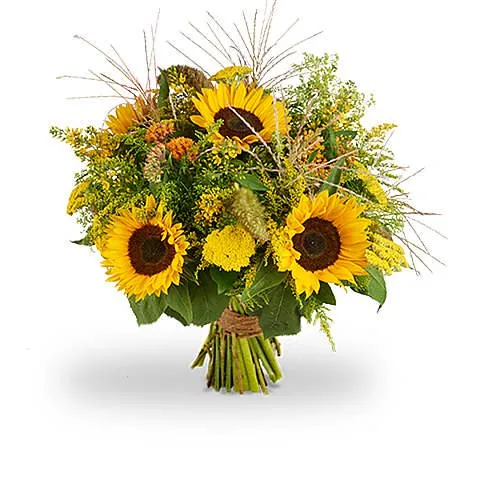 Boeket Zonnebloem BySpek
