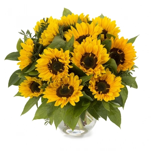 Boeket zonnebloemen BySpek