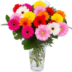 bosje gerbera's Rood BySpek