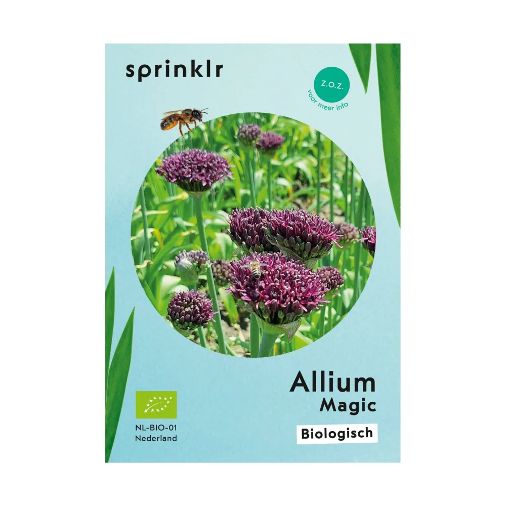 Allium Magic Sprinklr planten