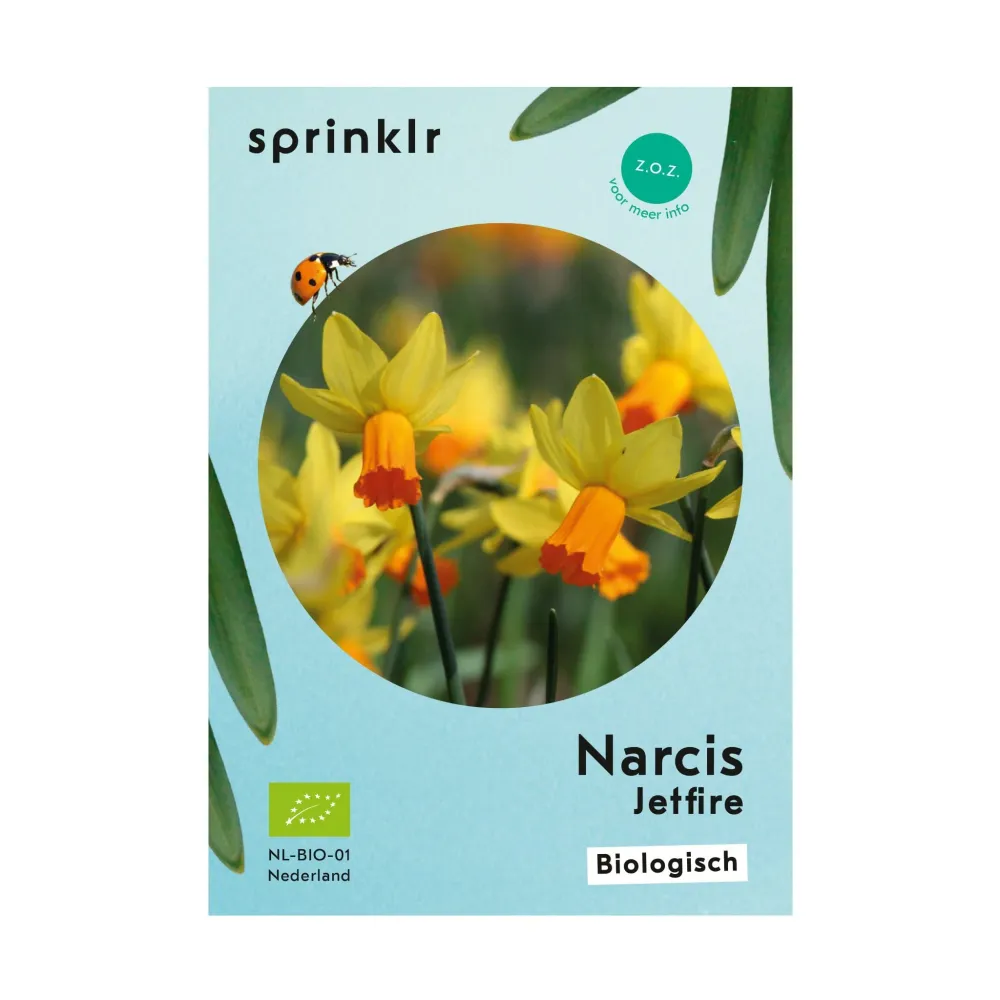 Narcis Jetfire Sprinklr planten
