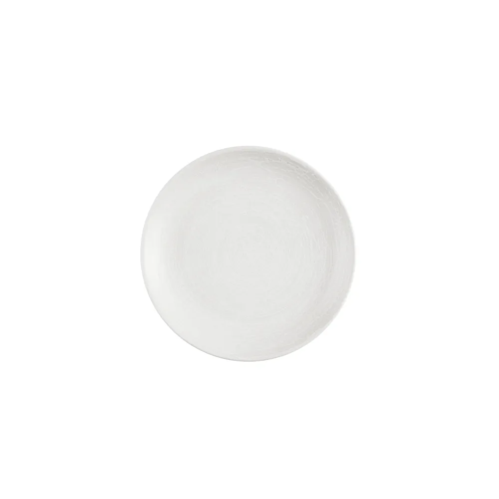 Inked Elements Ice Evolve Coupe Plate 21,7 cm12/box Churchill