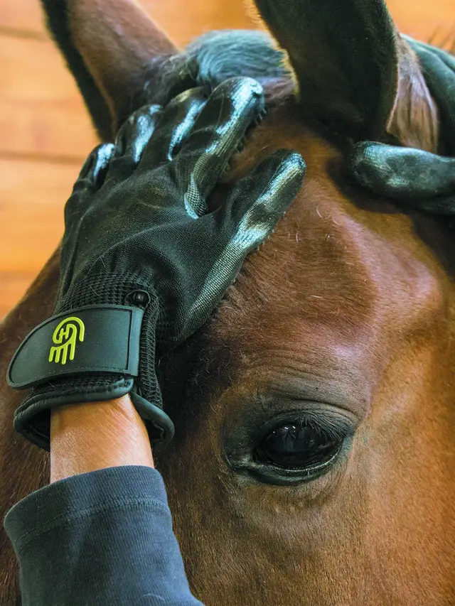 Hands On Glove Lemieux