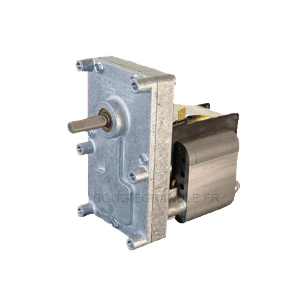 Wormwielmotor voor Caminetti Montegrappa