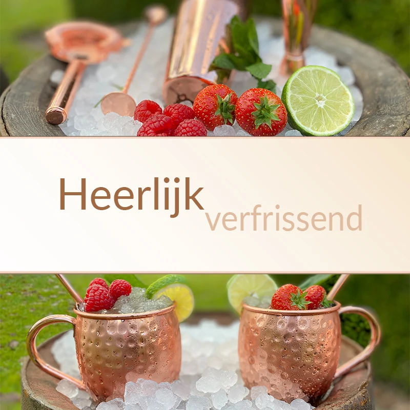 Moscow Mule cocktail set Chefs Cuisine
