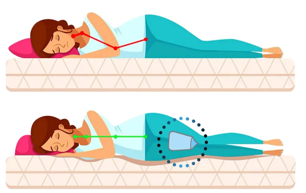 Ergo Side-Sleeper Sapodiia Store