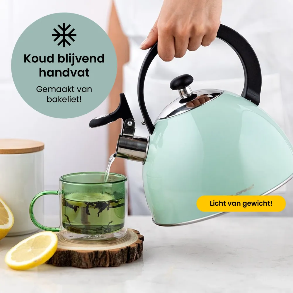 2de kansje Florina Brillo fluitketel RVS mint groen 2.5 Liter