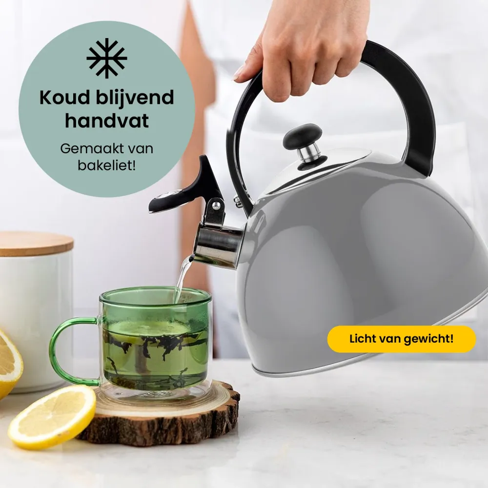 2de kansje Florina Brillo fluitketel RVS donkergrijs 2.5 Liter