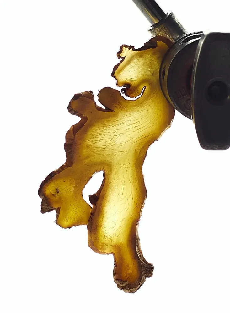 Nurture, 6 ml - Abel Interior Objects