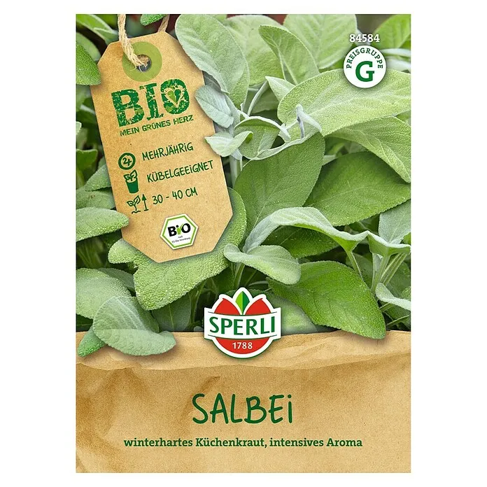 Vaste Sperli Groentezaden - Salvia officinalis
