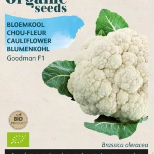 Bloemkool Buzzy Organic