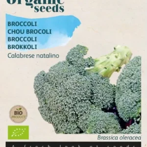 Broccoli Buzzy Organic