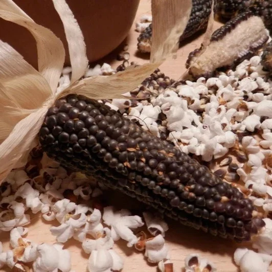 Popcorn Mais Culinaris