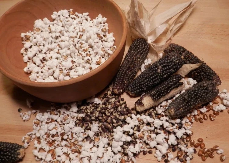 Popcorn Mais Culinaris