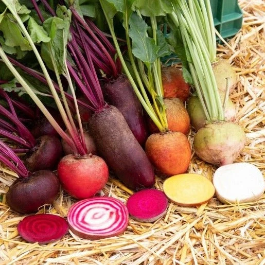 Bieten Gemengd Semailles