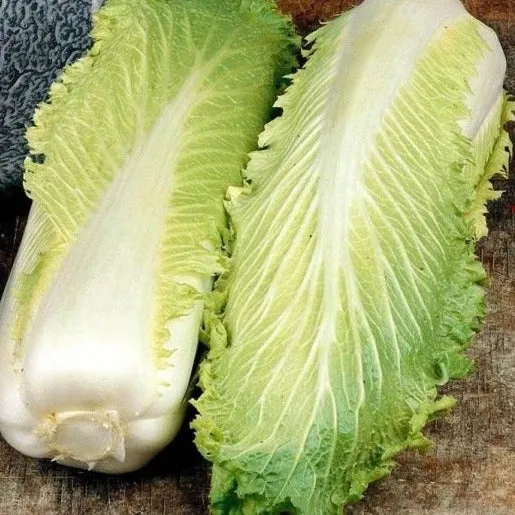 Chinese Kool Granaat Semailles