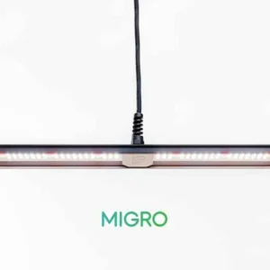 Migro ARRAY 1 Dimbare Full Spectrum LED Groeilamp 55W – 2.7µmol/J voor Binnenplanten