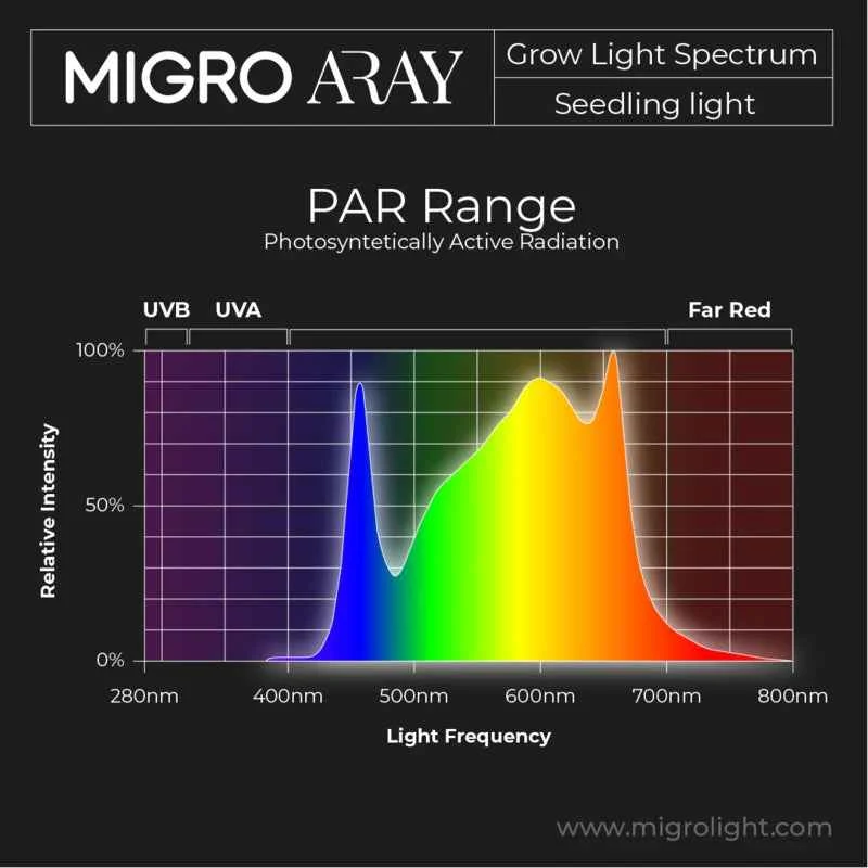 Migro ARRAY 1 Dimbare Full Spectrum LED Groeilamp 55W – 2.7µmol/J voor Binnenplanten