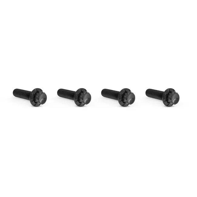 Arlen Ness, Kit Tornillos Titanio Para Tapa Voortreffelijk Transmisión Para Harley Davidson