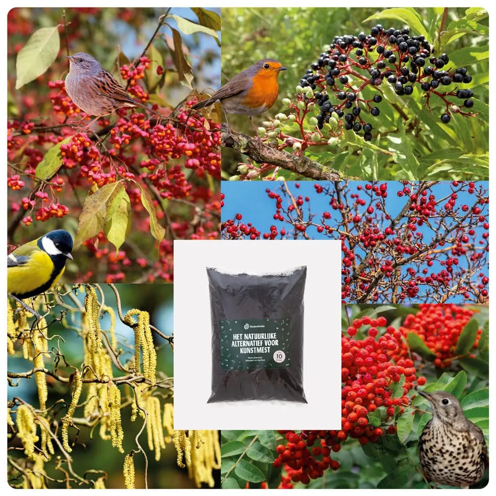 Heestermix Vogelparadijs Sprinklr planten