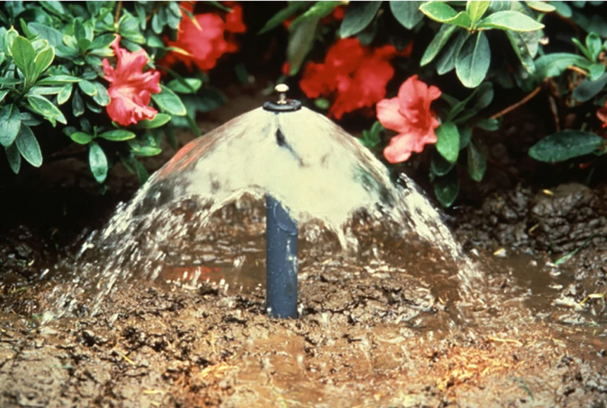 Rain Bird - 1401 Pressure Compensating Bubbler Nozzle
