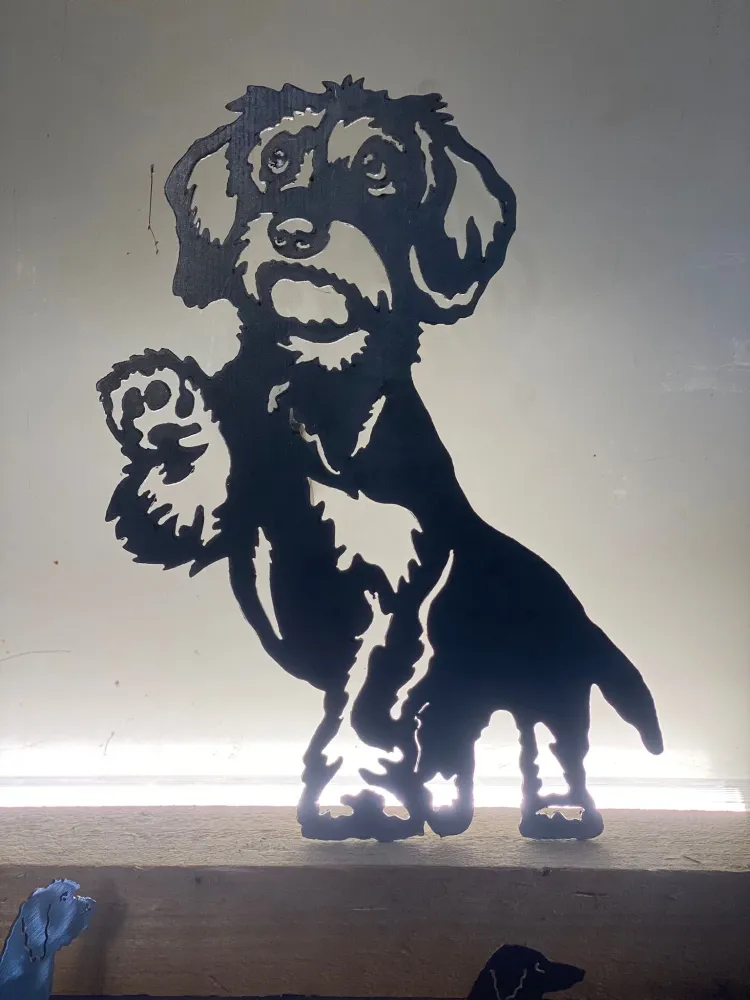 Ruwhaar teckel geef ander pootje Dutch Steel Art