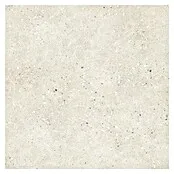 Decocer Cinca Keramische tegel Retro bone white - 60 x 60 cm, Wit