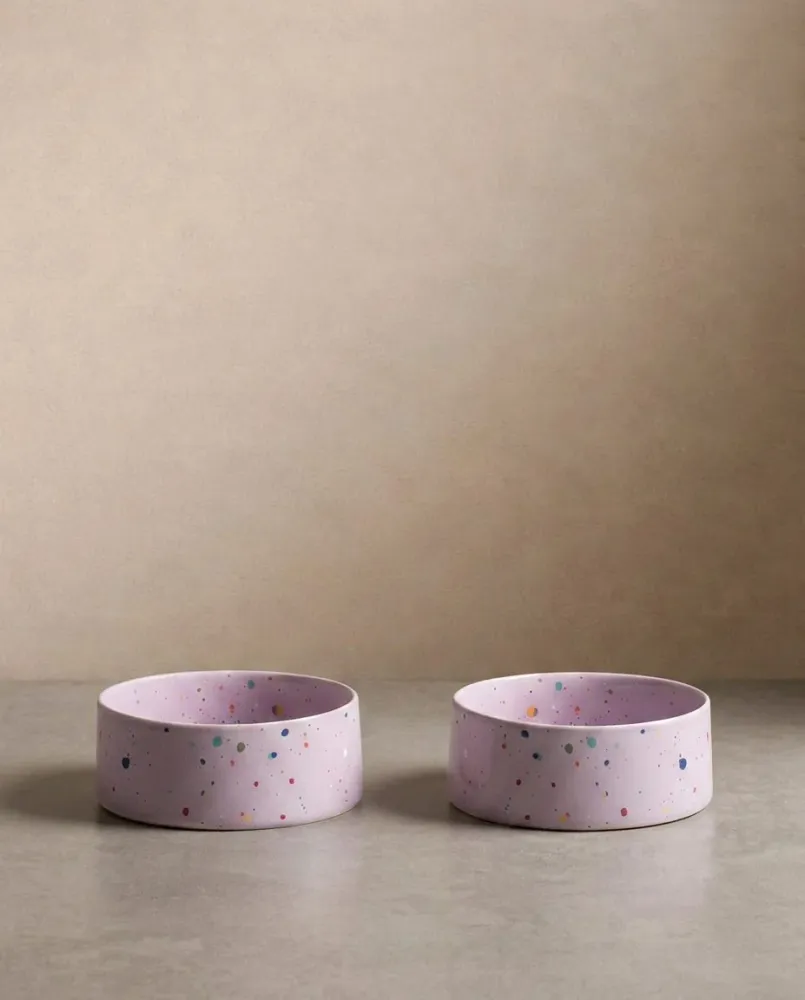 New Party Voerbak 16,5cm Set 2 Lila MT