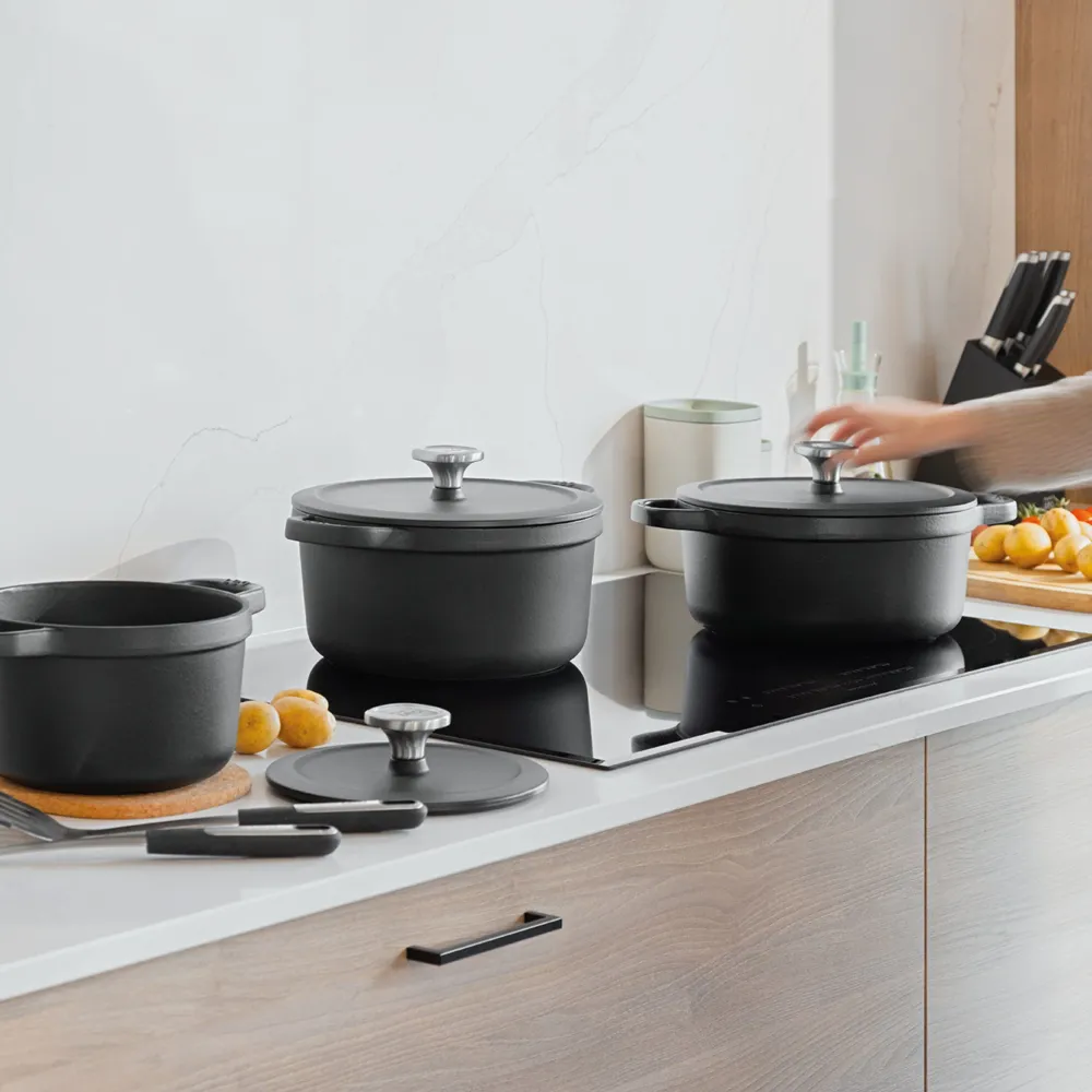 LEO Kookpot met deksel Graphite Cast iron - Ø 20cm