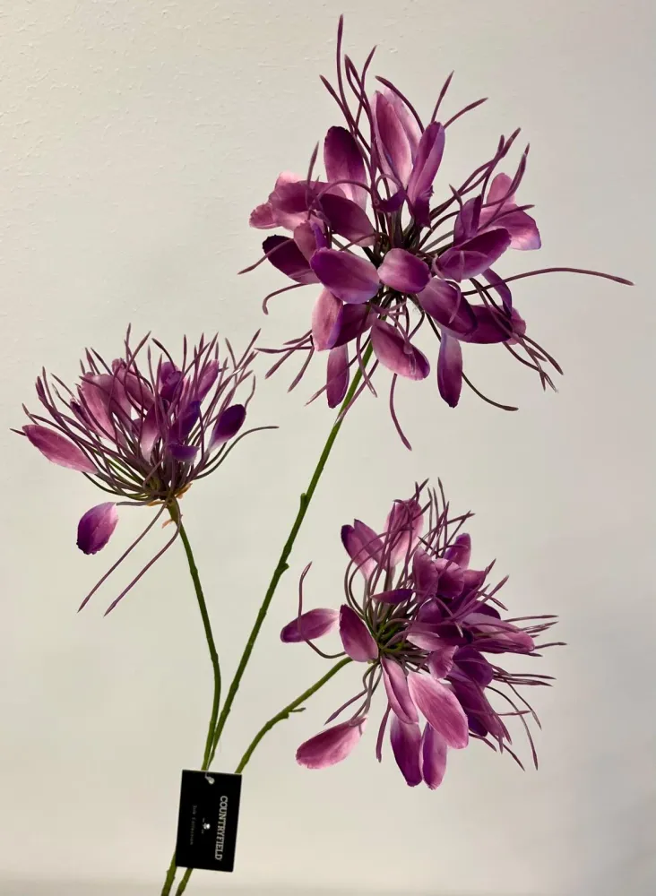 Spinbloem Lycoris (kunstbloem) Lokaal Living