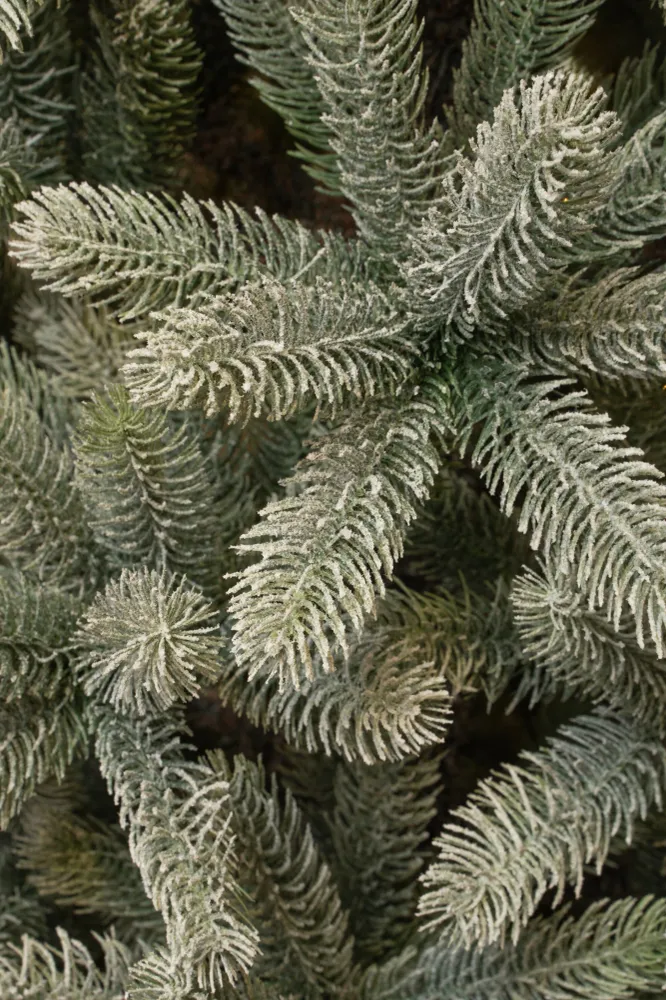 Nagoya Artificial Christmas Tree - H180 X Ø108 Cm - Green Frosted Black Box Trees