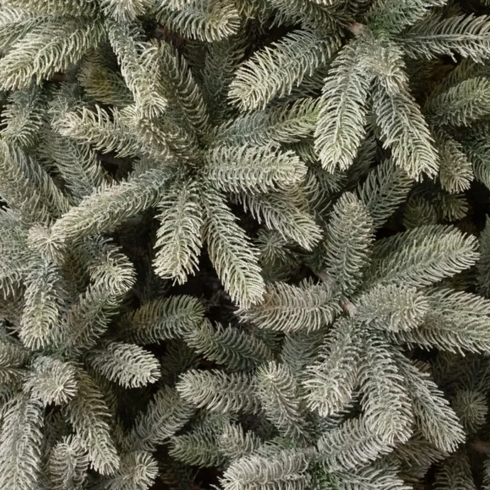 Nagoya X-Mas Tree Green Frosted Tips 2230 - H240Xd138Cm Black Box Trees