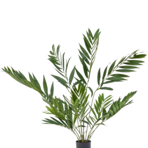 Kunstpalm Parlour Deluxe 90 cm