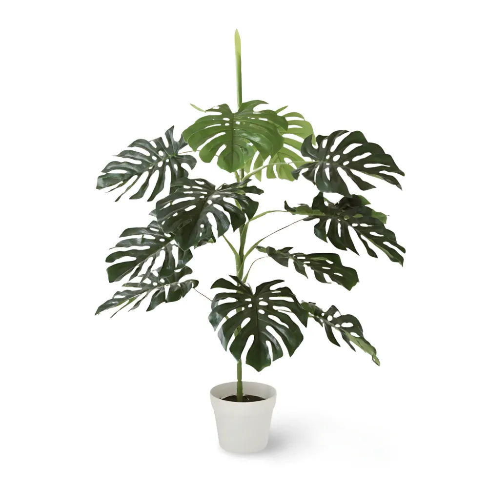 Monstera Nepplant Groot 110 cm Boltze
