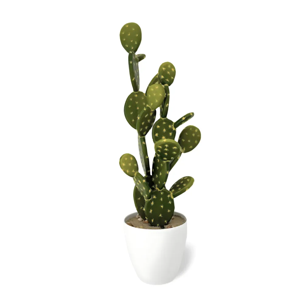 Grote Kunstplant Cactus 53 cm Jolipa