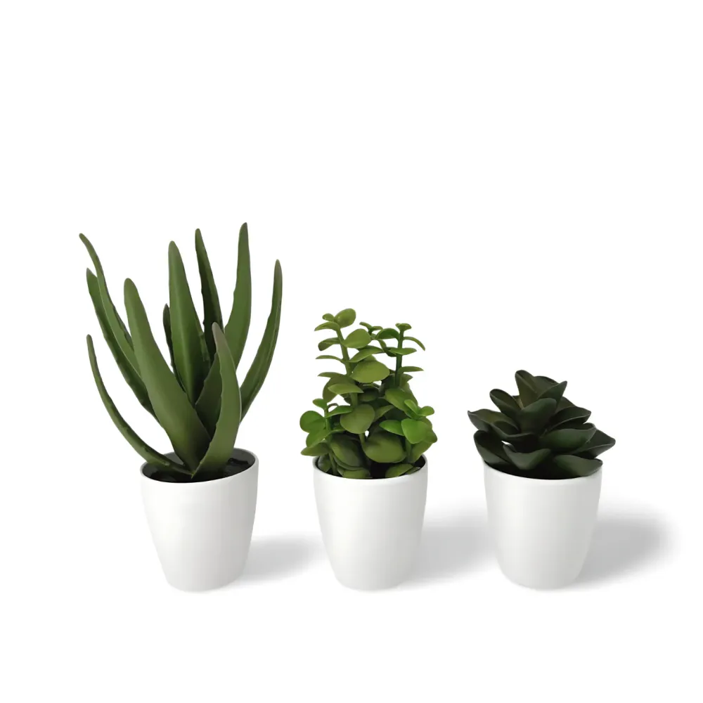 Kunst Vetplantjes Pot Wit 23 cm - Set 3 Jolipa