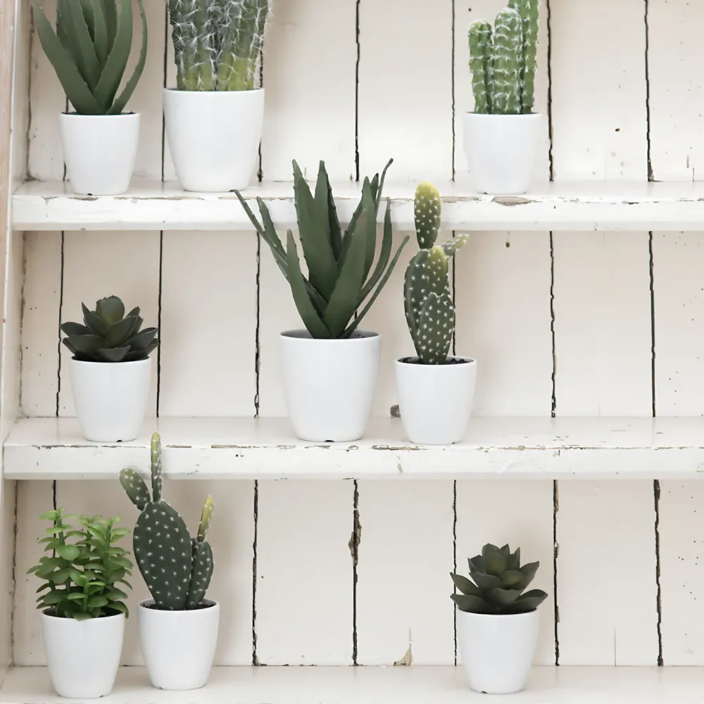 Kunst Vetplantjes Pot Wit 23 cm - Set 3 Jolipa
