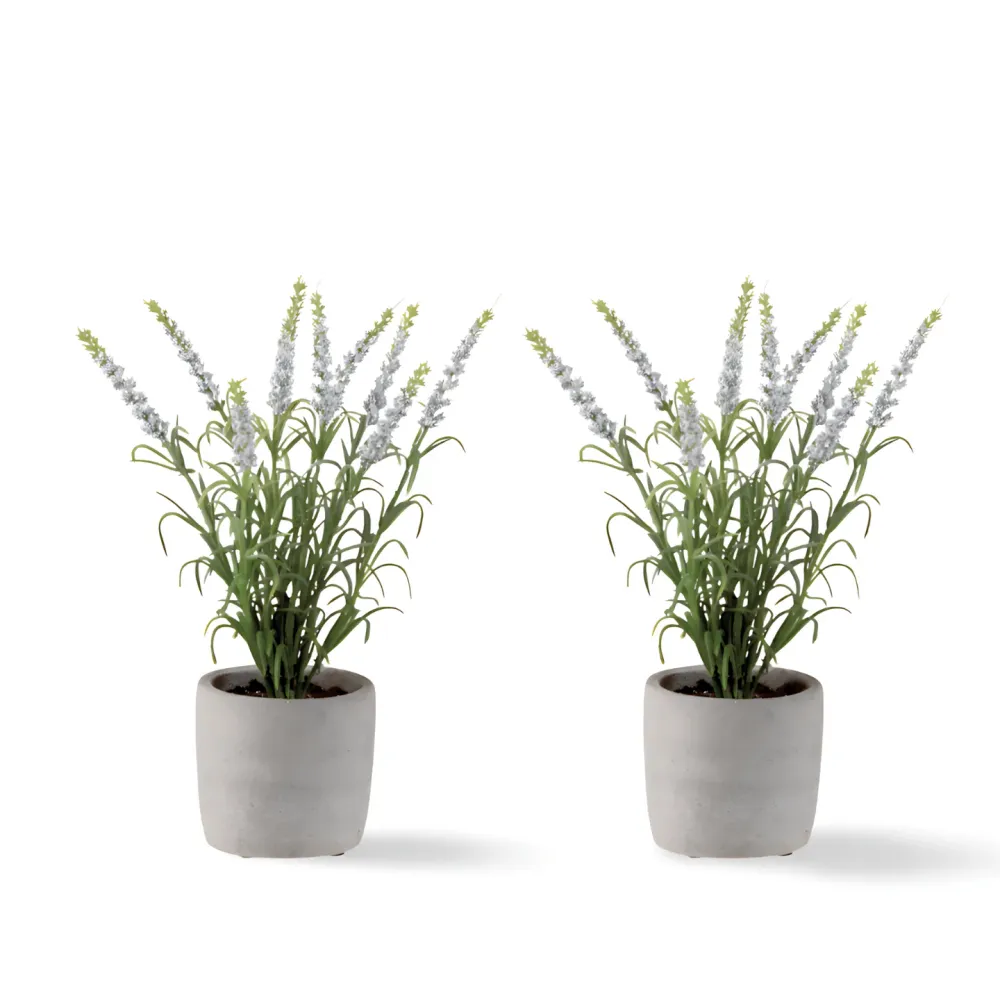 Kunstplant Lavendel Pot 28 cm - Set 2 Jolipa