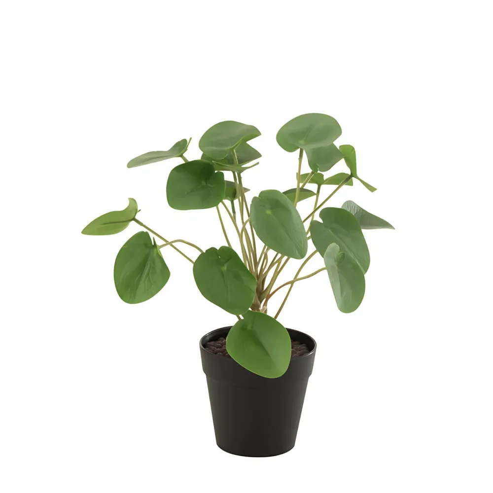 Kunstplantje Pot 28 cm Jolipa