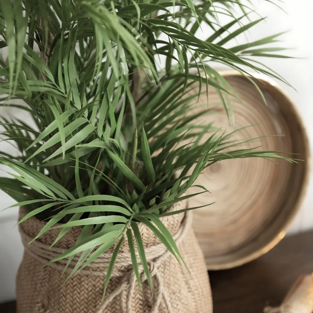 Luxe Kunstplant Palm 84 cm Jolipa