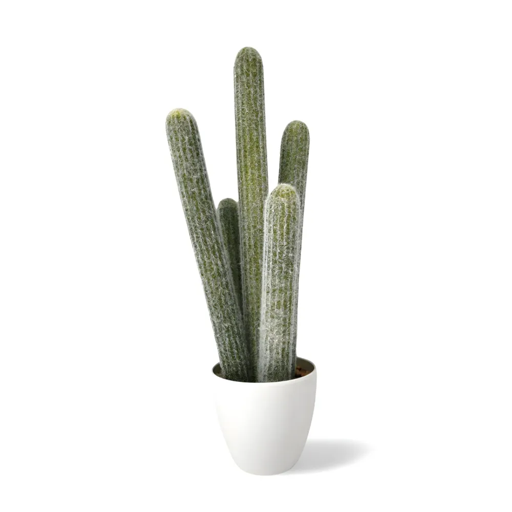 Nep Cactus Groot 54 cm Jolipa