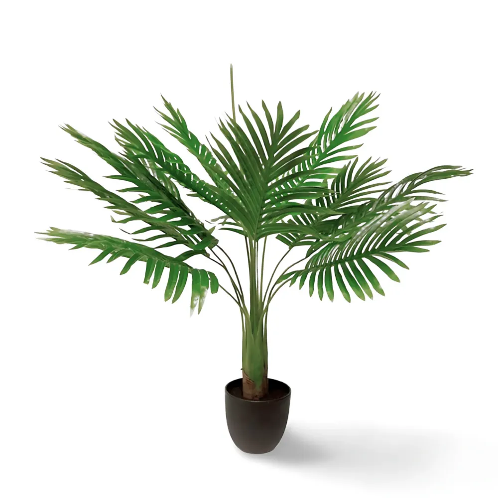 Nep Palm Plant 70 cm Van Manen