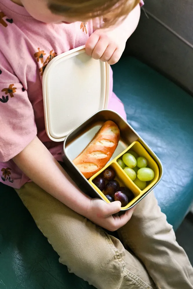 Cotton Cloud - RVS Lunchbox - Funky Dogs