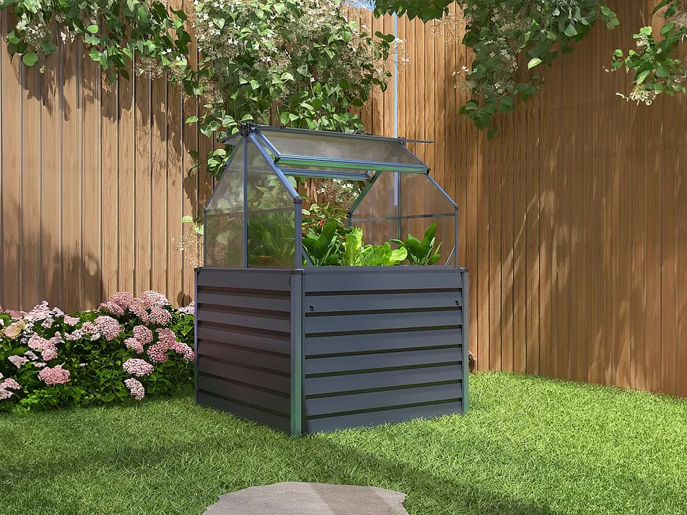 Mini-tuinkas van polycarbonaat en structuur van aluminium, antraciet GENISTA EXPERTLAND