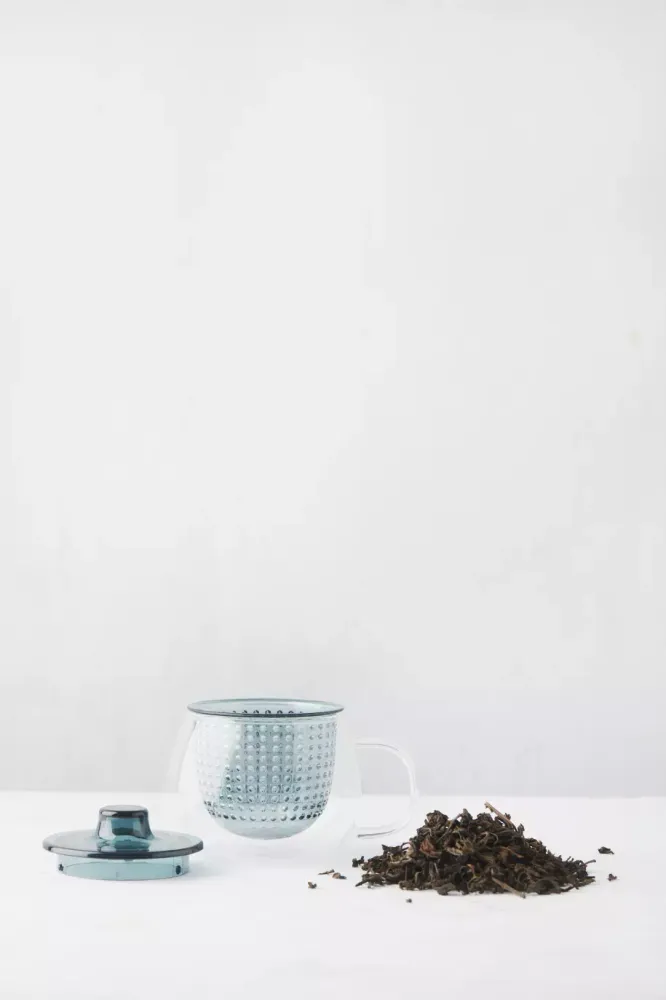 Theemok met filter blauwgroen 300ml Pointvirgule