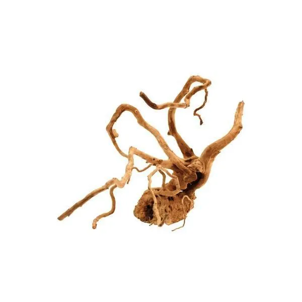 Legno Red Wood Natural Root - 50 tot 70 cm AMTRA